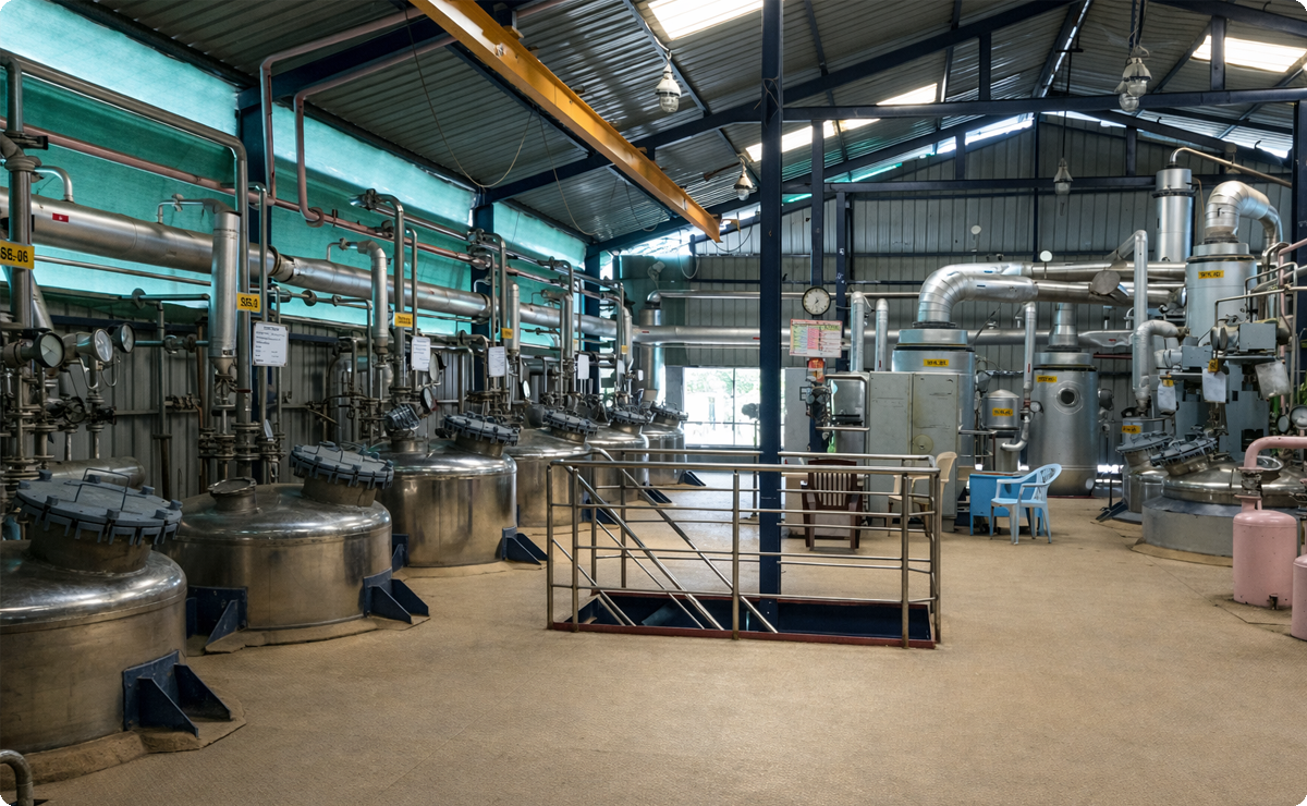 Herbal_Extraction_Plant